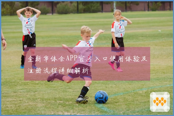 全新华体会APP官方入口使用体验及注册流程详细解析